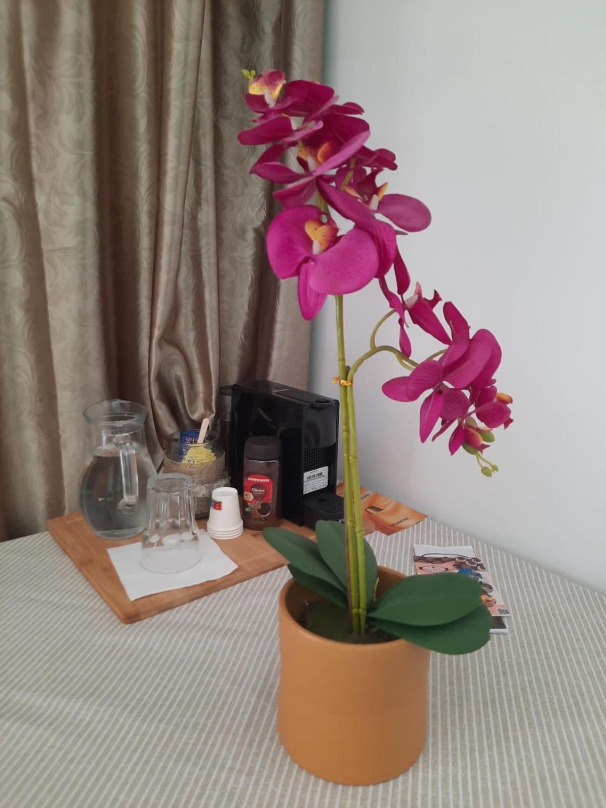 蓬塔德尔加达Pedacinho Do Ceu公寓 外观 照片